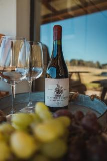 Bodegas y Viñedos Balcarce - 9
