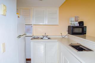 ENNA INN IXTAPA DEPARTAMENTO 01 RECAMARA ViSTA MAR - 6