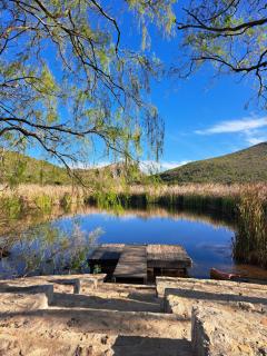Porcupine Hills Olive and Guest Farm - 3