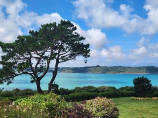 Stunning sea views, sea 100 m away, very large garden - 6