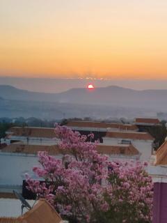 Hillside Penthouse with Panoramic Views - 8