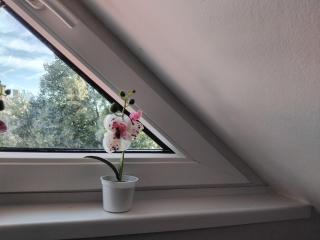 Kincs apartman - 4