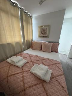 Private room in North London En-suite - 9