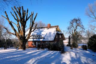 Reetdachhaus Eiderblick - 9