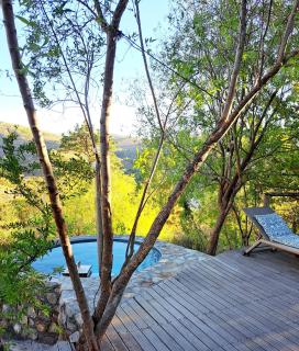 Porcupine Hills Olive and Guest Farm - 7