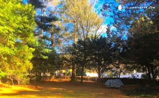 Peaceful and Pet-Friendly Cottage Rental on Picturesque Country Estate near Black Rock State Park, Connecticut - 2