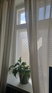 private apartment in the heart of Kallio - 7