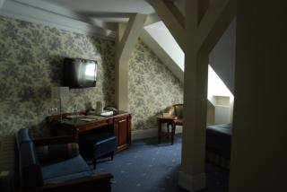 Hotel Pałac Romantyczny - 8