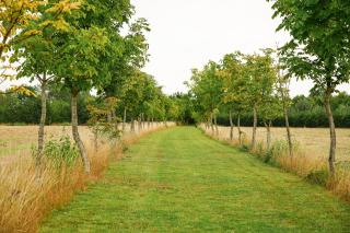 Wisteria Lodge - Stylish Countryside Lodge on 25-Acre Estate - 9
