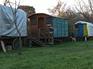 Ecogarden camping with rooms - 8