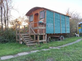 Ecogarden camping with rooms - 5