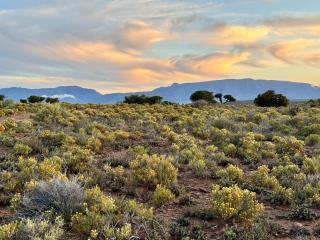 Aardvark Bioreserve - 9