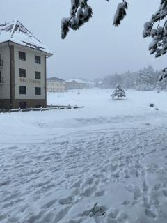 Apartman Zeleno Srce - 4