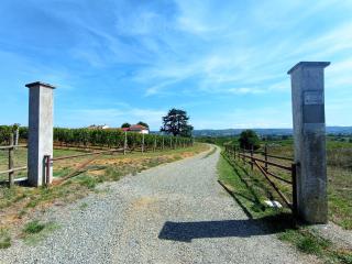Cascina La Serra - 1