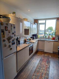 Creative Warehouse Conversion & Plant Haven - 5