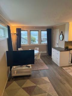 Arctic Apartment - 4