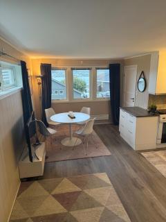 Arctic Apartment with outdoor jacuzzi - 2