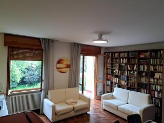 Book Paradise - 1