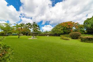 Rum Runner - Golden View 328 - 6