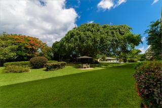 Rum Runner - Golden View 328 - 5