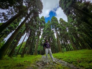 Pines and Beyond cottage - 3