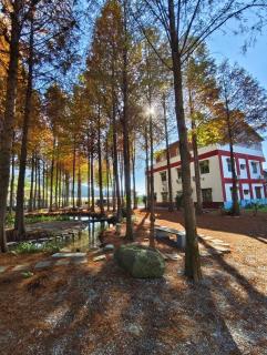 寵物友善 漫步森活 九樺落羽松民宿 - 7