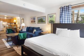 Crested Butte Mountain Resort Properties - 3