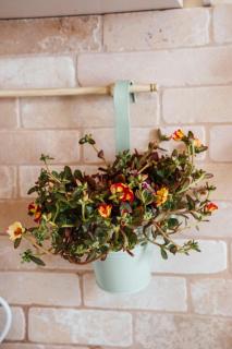 Appartamento Antico Pozzo - 8