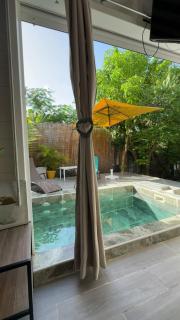 Hibiscus Paradise - 1