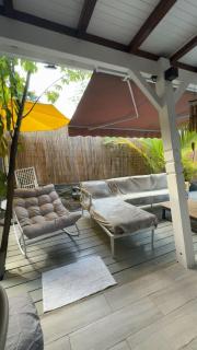 Hibiscus Paradise - 3