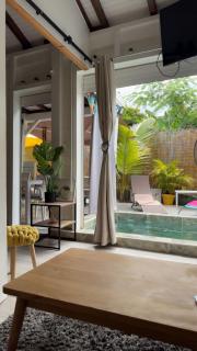 Hibiscus Paradise - 4