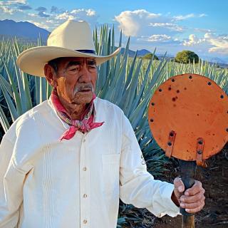 Matices Hotel de Barricas - 1