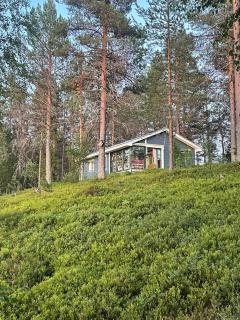 Erämökki Villa - Lumo - 3