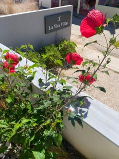 La Vita Villas - 1