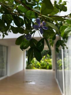 6 bedrooms villa in Thalang - 5