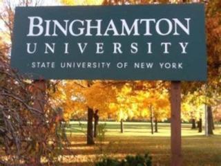 Spacious, Unique PR near Binghamton University - 7
