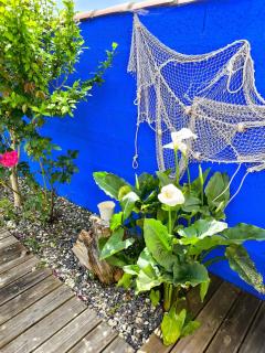 Maison de l'Océan - 6