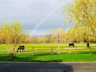 Cabin on Horse, Donkey and Cow Farm - 3