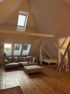 Loft apartment 723 - 7