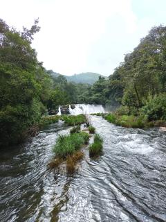 Dayakkas homestay Madikeri Coorg - 5