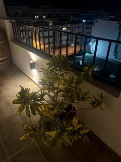 Le ROOF - 5