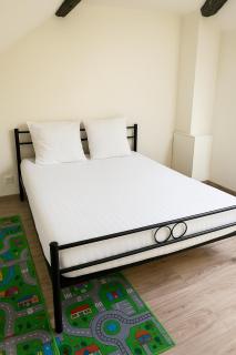 Villa Petit Charles - CDG Paris airport - Parc Asterix - Extra Shuttle - 2