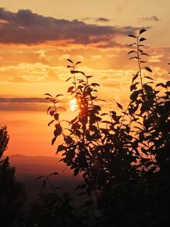 Near the Mountain - 4