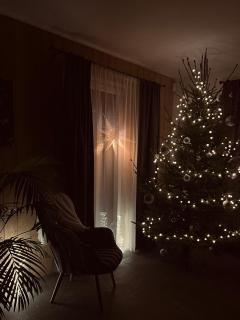 Brīvdienu māja & pirts meža vidū - Saraiķu Sanderi - 9