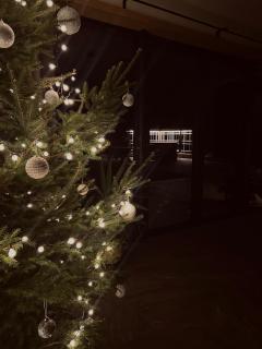 Brīvdienu māja & pirts meža vidū - Saraiķu Sanderi - 2