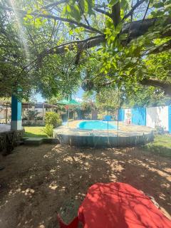 Pousada pipa meu amor - 3