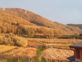 Magitti appartamento - 5