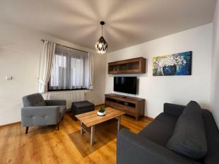 Apartment in the city center with free parking - 3