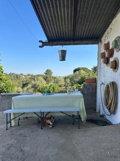 A cozy cottage in Tomar - Tomar - 1