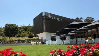 Harpazul - 2